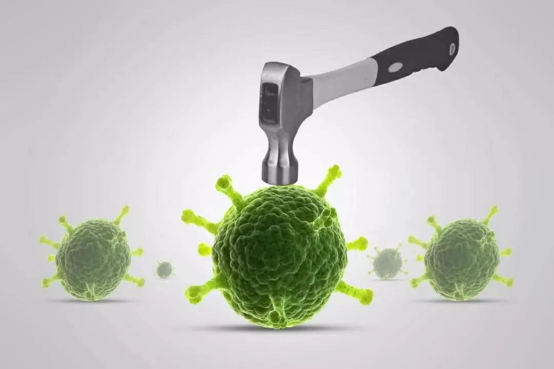 给猪补硒有什么副作用(猪补硒过量怎么办)-硒宝网