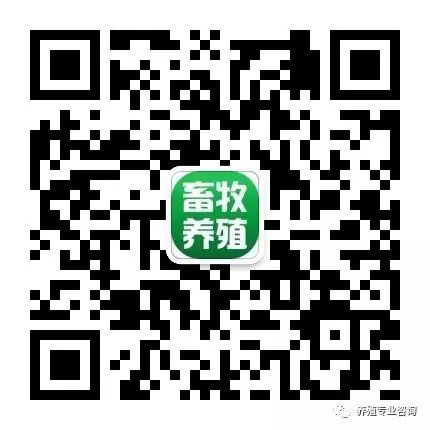 给猪补硒有什么副作用（猪补硒中毒怎么办）-硒宝网