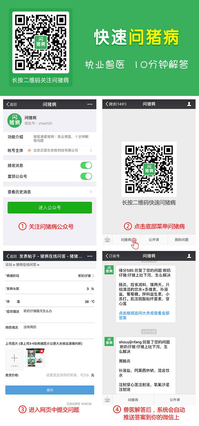 给猪补硒有什么副作用（猪补硒的好处）-硒宝网