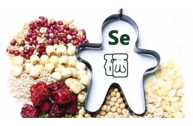 微量元素硒对人体的作用(人体微量元素硒什么食物含)-硒宝网
