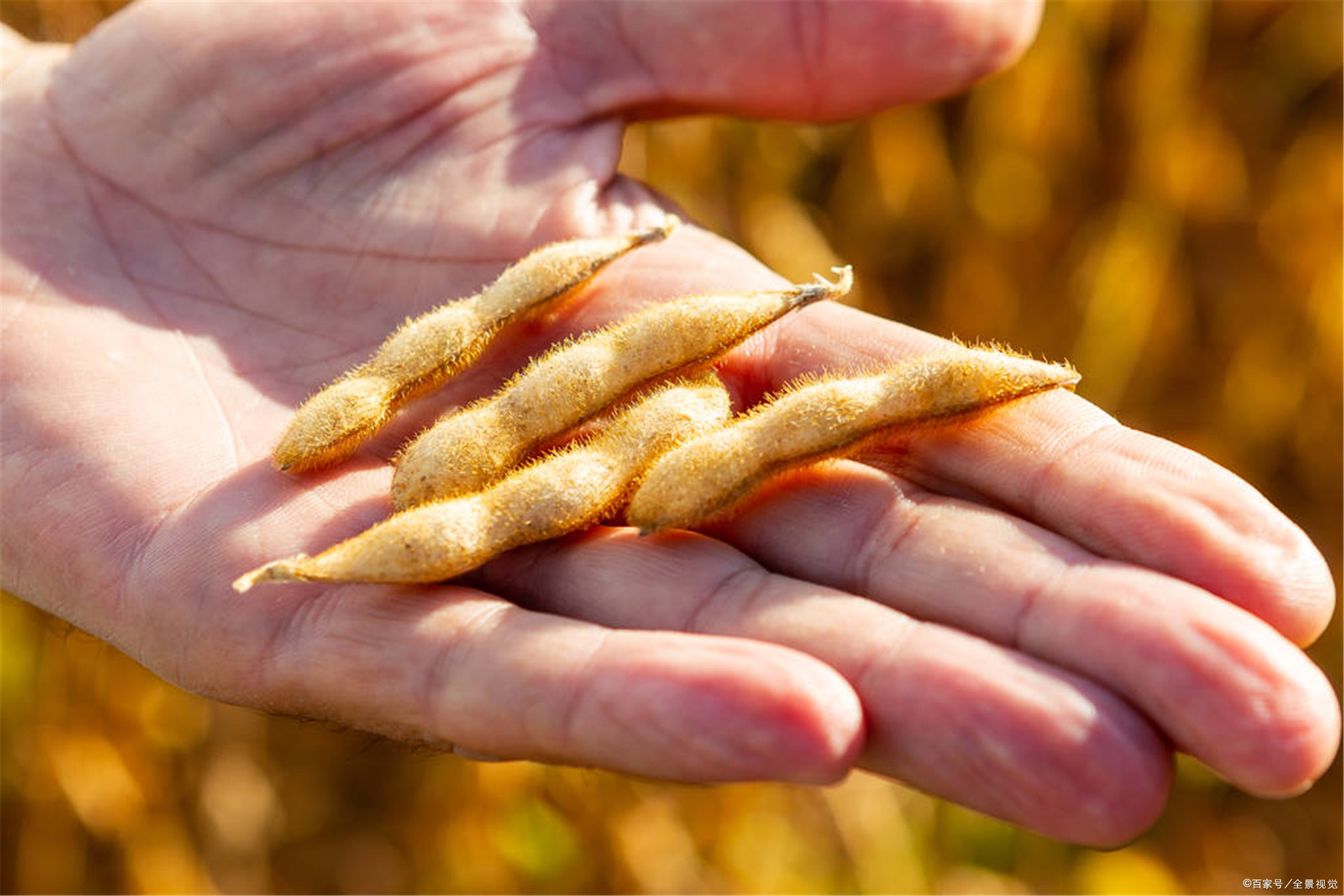吃什么食物补钙快（食物补钙吃啥尼）-硒宝网