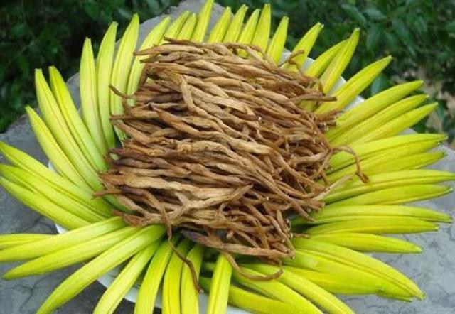 缺钙吃什么菜能补钙（缺钙蔬菜）-硒宝网