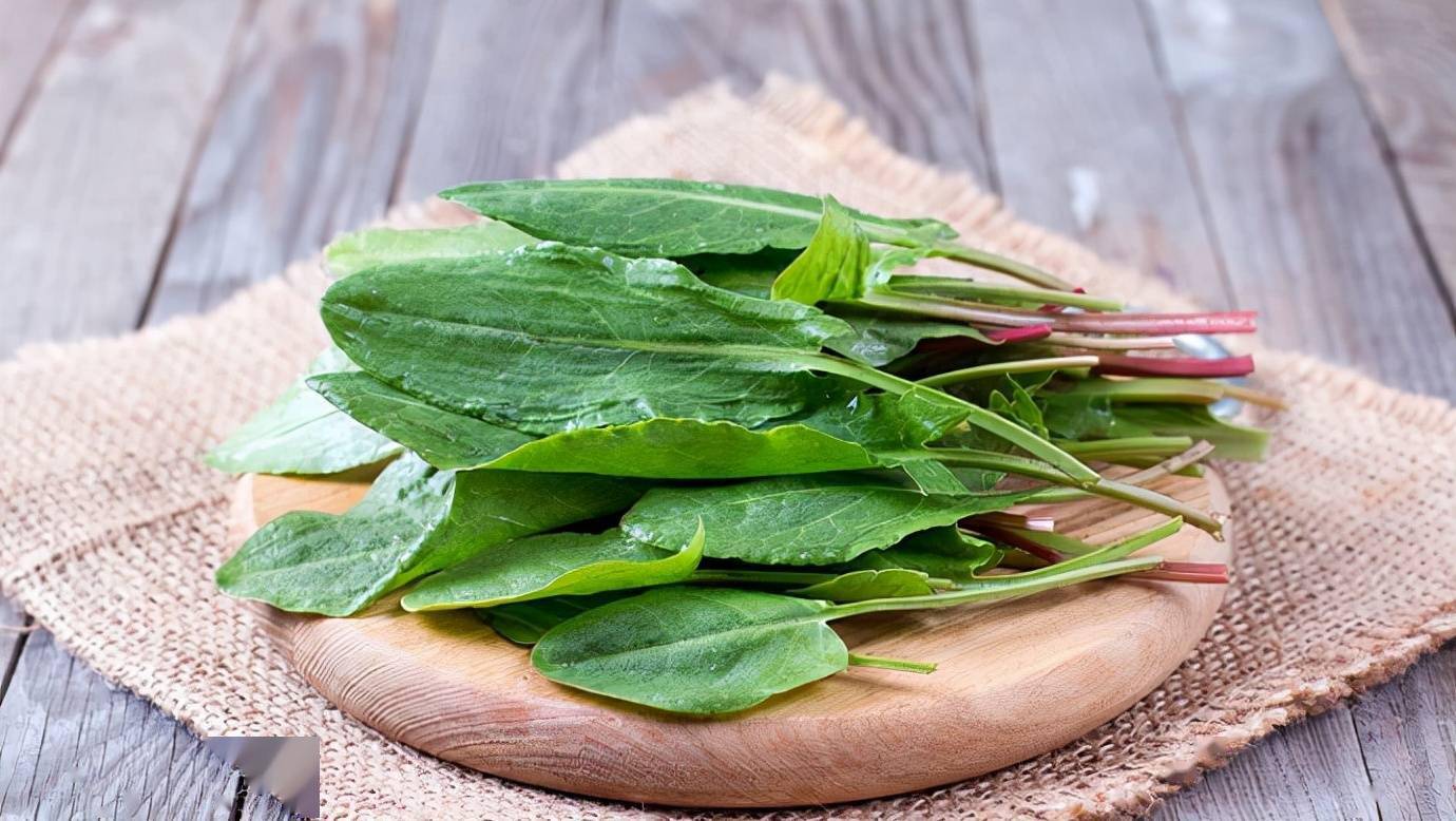 补铁食物(食物补铁的最佳选择是)-硒宝网