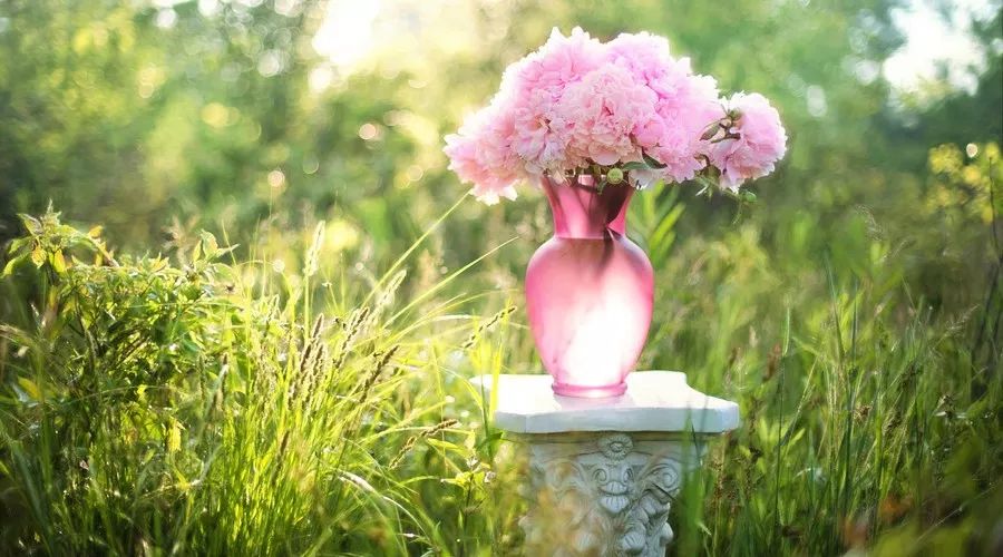 癌症患者补硒和维生素(癌症病人补充硒)-硒宝网