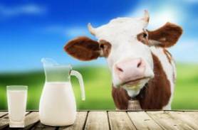 哪个季节补钙效果最好(这个季节补钙)-硒宝网