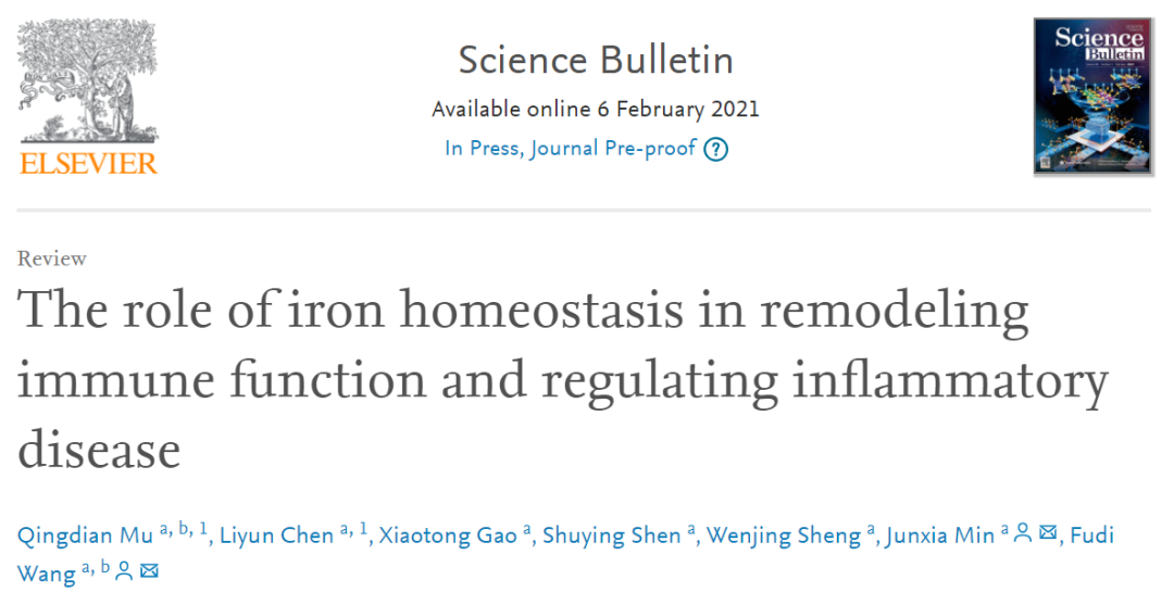 补铁的作用（补铁的药有什么用）-硒宝网