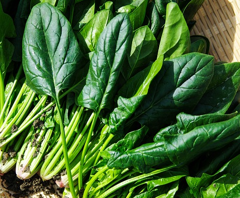 全身牛皮癣可以补硒吗（哪些品牌的补硒是有机硒）-硒宝网