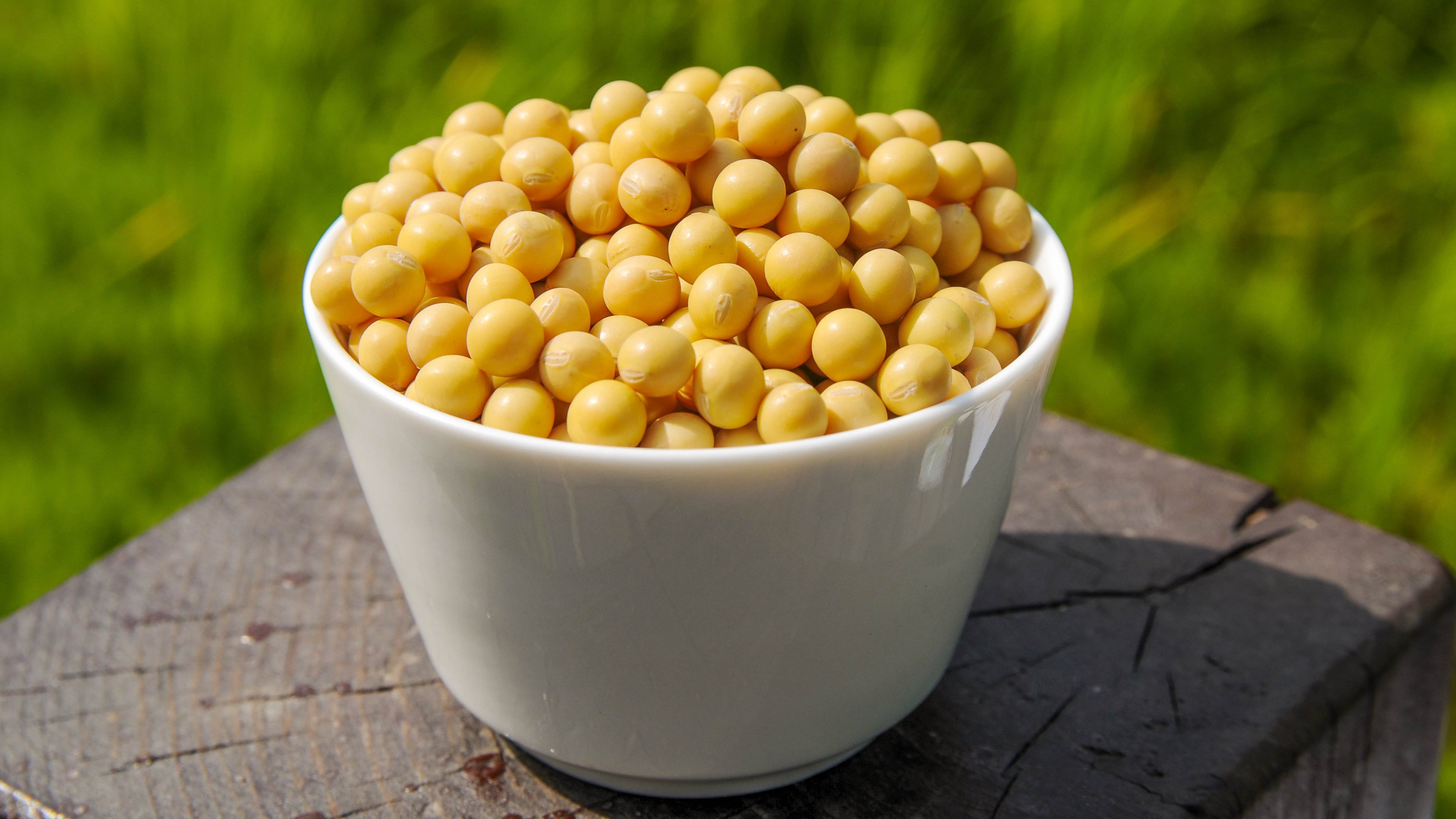 补硒能使卵子长得好吗(补卵吃什么好)-硒宝网