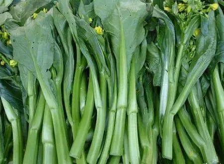 什么水果最补维生素硒(维生素水果补硒有用吗)-硒宝网