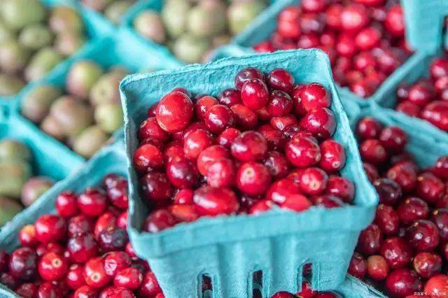 什么水果最补维生素硒(维生素水果补硒效果好吗)-硒宝网