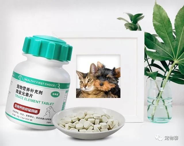 狗狗微量元素多久喂一次(狗狗微量元素和维生素区别)-硒宝网