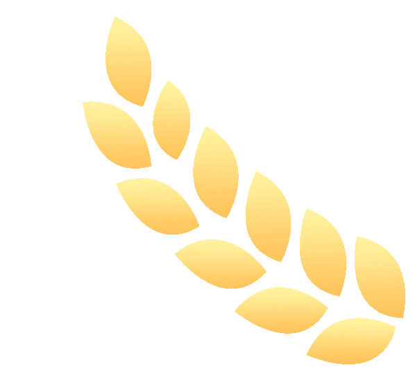 老年人补硒最好的食物（老年人补硒）-硒宝网