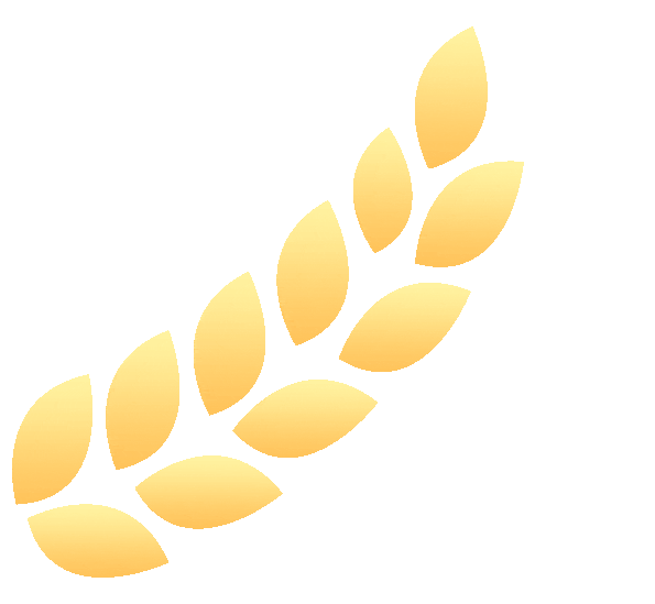 老年人补硒最好的食物（老年人补硒）-硒宝网