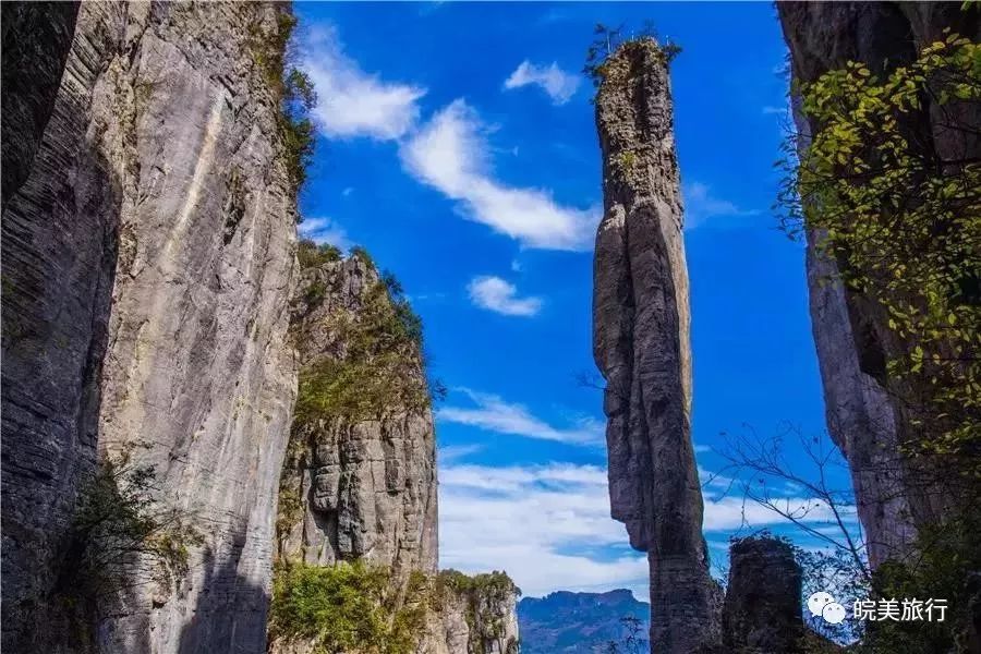 一天最高可以补多少硒(补一天高硒可以吃多久)-硒宝网