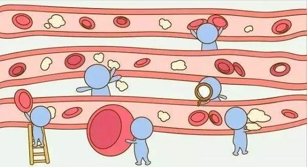 孕妇补铁食物(孕妇食物补铁的好处)-硒宝网