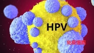 女生补麦芽硒有什么用(补麦芽硒的副作用)-硒宝网