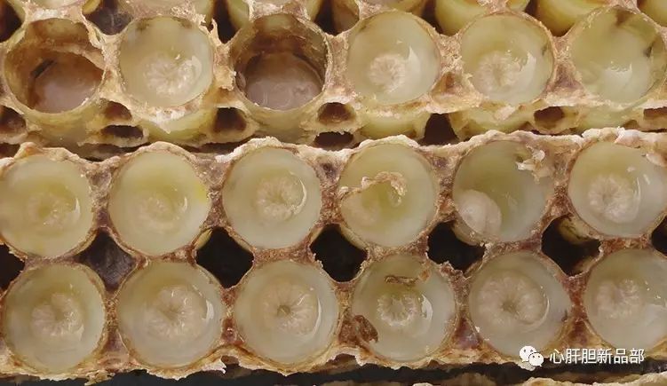 心脑血管什么时间补硒(补心脑血管的补品)-硒宝网