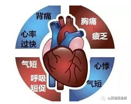心脑血管什么时间补硒(补心脑血管的补品)-硒宝网