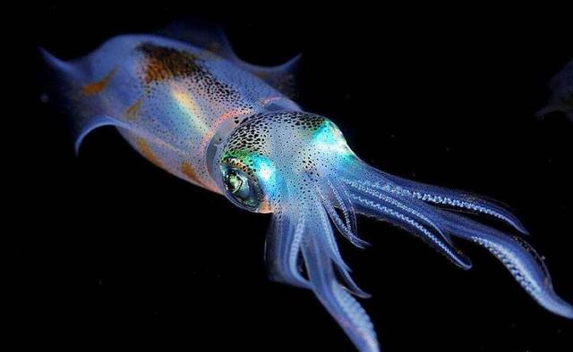 少年补钙吃什么钙片好(少年吃钙片有什么好处)-硒宝网