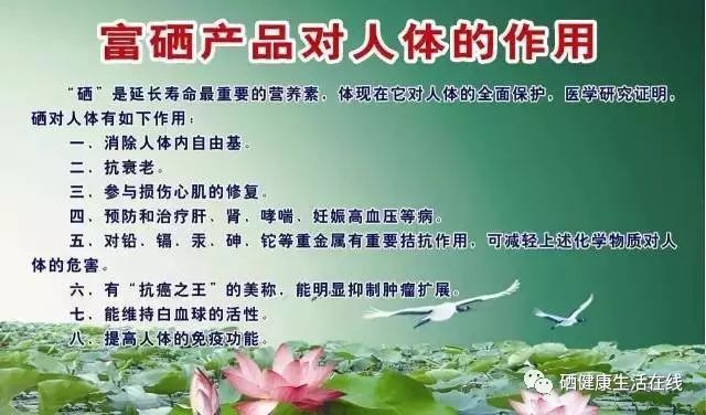 补硒的重点是补充什么（补充硒的药物有哪些）-硒宝网