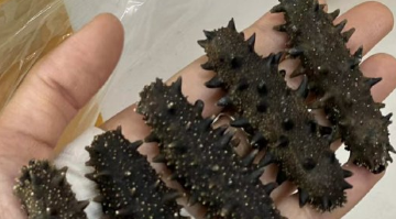 高血压补硒药店有卖吗(高血压患者补硒有什么好处)-硒宝网