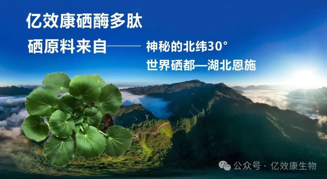 身体健康者需要补硒吗(者补身体健康需要硒片吗)-硒宝网