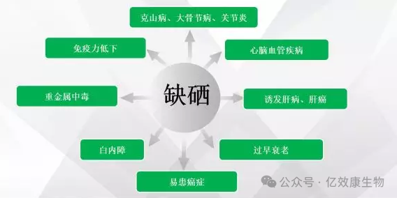 身体健康者需要补硒吗(者补身体健康需要硒片吗)-硒宝网