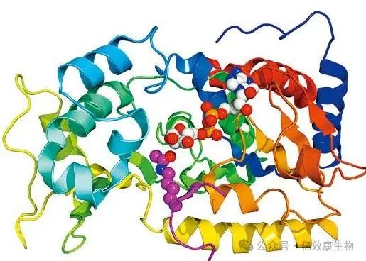 身体健康者需要补硒吗(者补身体健康需要硒片吗)-硒宝网