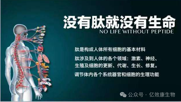 身体健康者需要补硒吗(者补身体健康需要硒片吗)-硒宝网