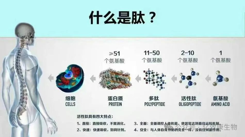 身体健康者需要补硒吗(者补身体健康需要硒片吗)-硒宝网