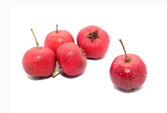 尿毒症病人补哪种硒好（尿毒症能补硒吗）-硒宝网