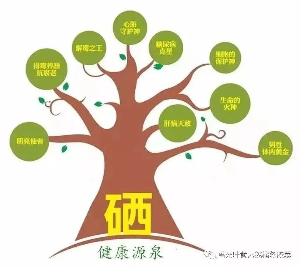 身体健康者需要补硒吗(人体需要补硒)-硒宝网