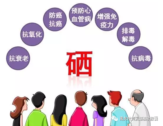 身体健康者需要补硒吗(人体需要补硒)-硒宝网