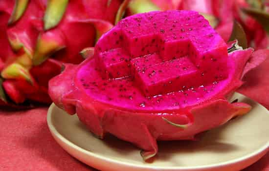 补铁的食物和水果(水果补铁)-硒宝网