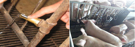 补硒药可以间隔着吃吗(吃补硒的药可以喝酒吗)-硒宝网