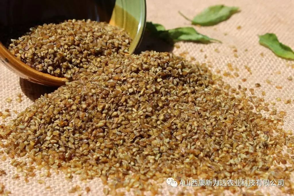 山西人需要特别补硒吗（需补硒的人群）-硒宝网