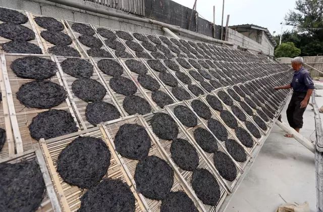 补钙的东西(什么东西补钙最好最快)-硒宝网