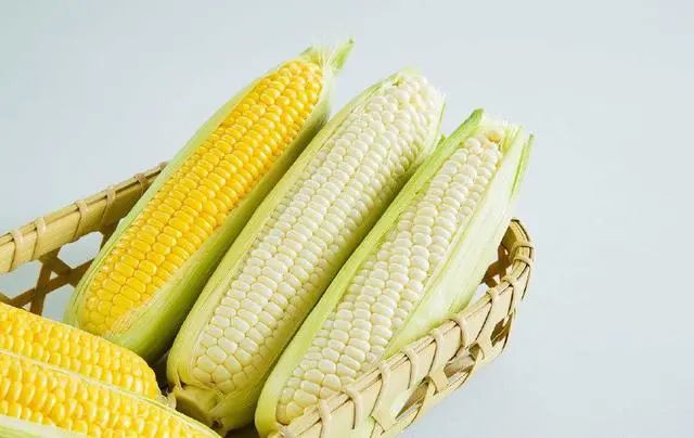 每天补硒和多种维生素(每天维生素补种硒可以吗)-硒宝网