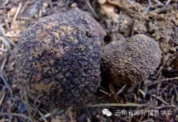 脾虚补硒有用吗怎么吃(补脾虚吃硒用有副作用吗)-硒宝网