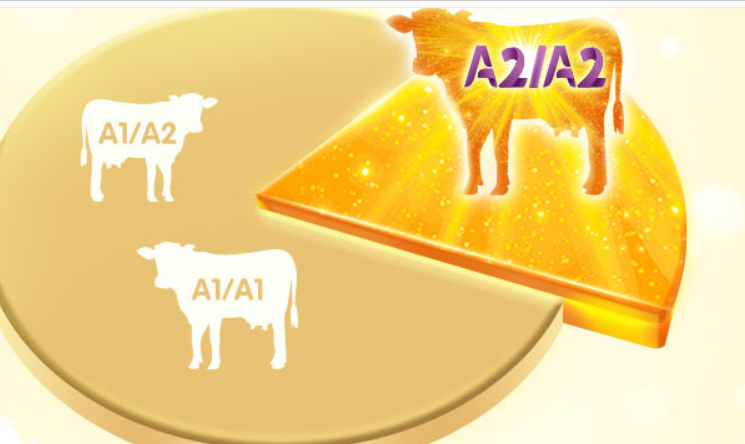 什么奶粉补钙最好(奶粉补钙好还是牛奶呢)-硒宝网