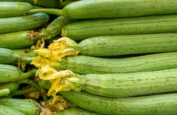 缺硒吃什么食物补得快（缺补食物吃得硒含量高吗）-硒宝网