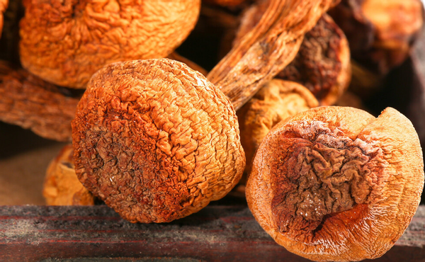 缺硒吃什么食物补得快（缺补食物吃得硒含量高吗）-硒宝网