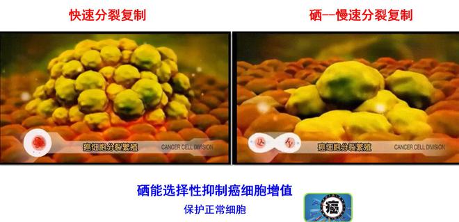 肿瘤患者补硒有什么用(肿瘤补硒多少)-硒宝网