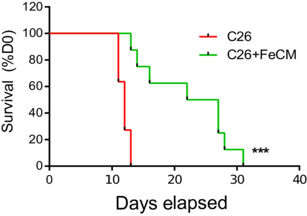 补铁的副作用(补铁副作用)-硒宝网