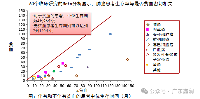 补铁的副作用(补铁的药副作用小点的有哪些)-硒宝网