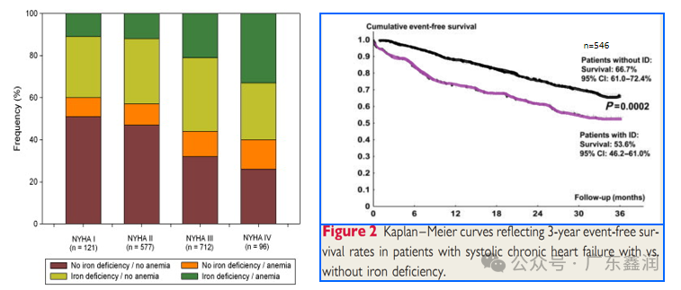 补铁的副作用(补铁的药副作用小点的有哪些)-硒宝网