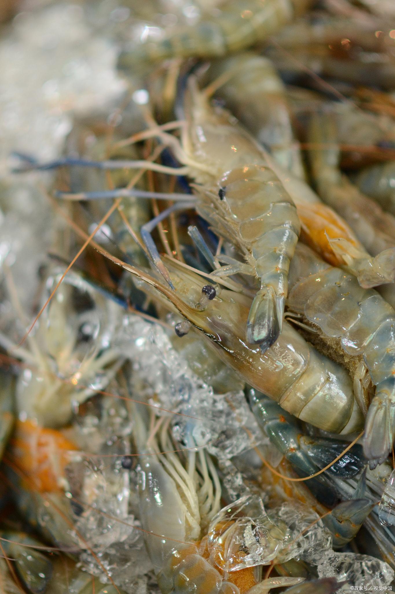 身体缺硒吃啥的补最好(缺硒吃啥好)-硒宝网