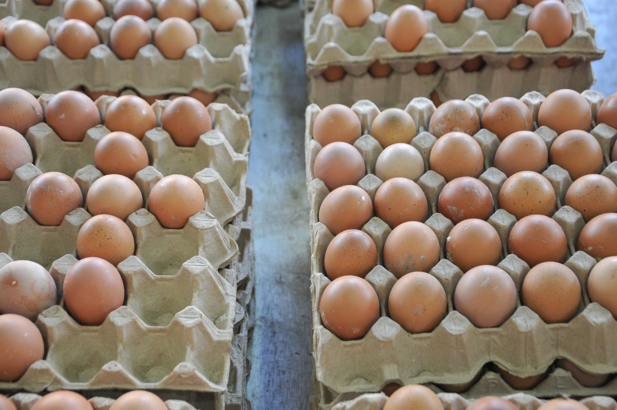 身体缺硒吃啥的补最好(缺硒吃啥好)-硒宝网