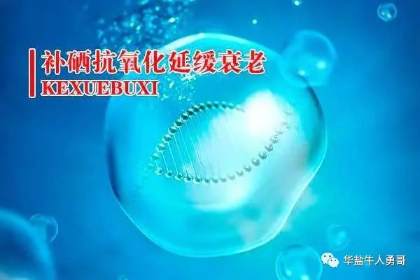 有无必要吃补硒的产品(有补硒的必要吗)-硒宝网