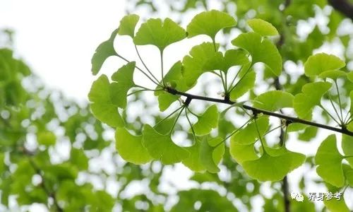 补硒增加患糖尿病风险（补硒能治糖尿病吗）-硒宝网